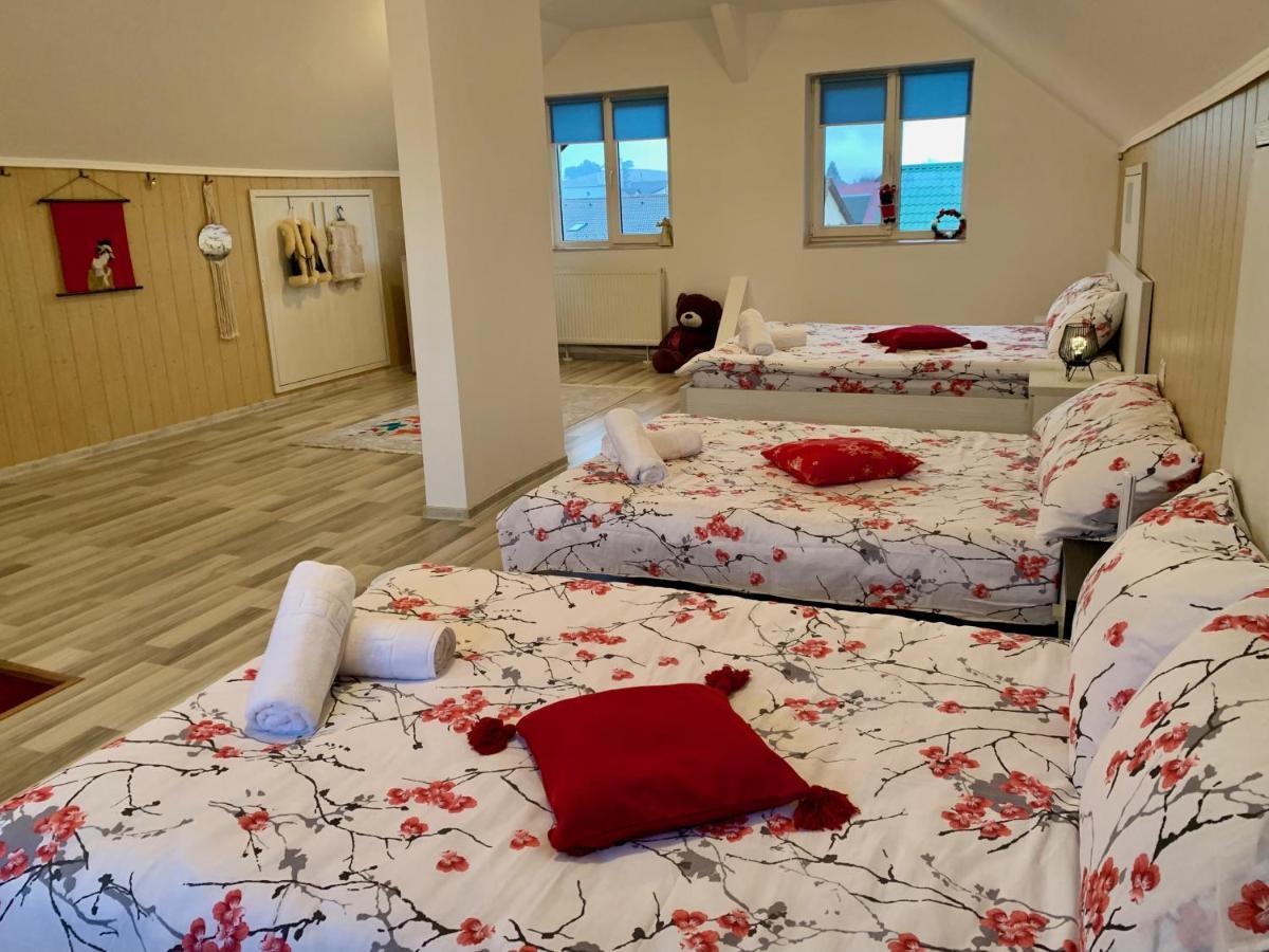 Casa Costache Villa Braşov Eksteriør billede